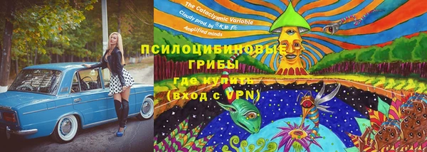 гидра Алзамай