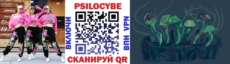 mega сайт  закладки  Катайск  Псилоцибиновые грибы Psilocybine cubensis 
